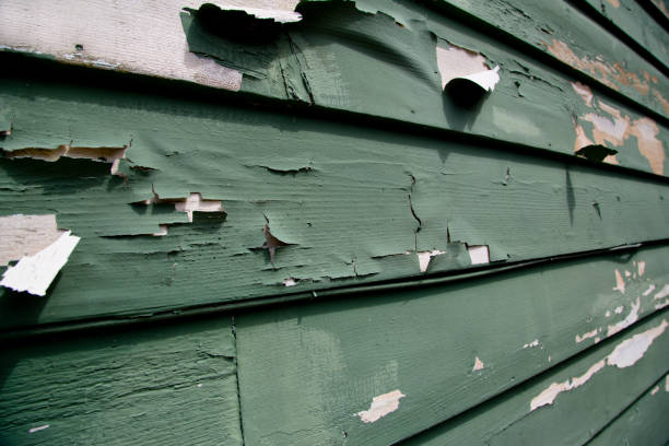  Casas Adobes, AZ Siding Installation Pros