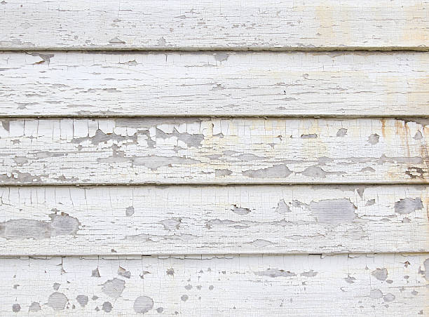 Professional Siding Installation & Repair in Casas Adobes, AZ